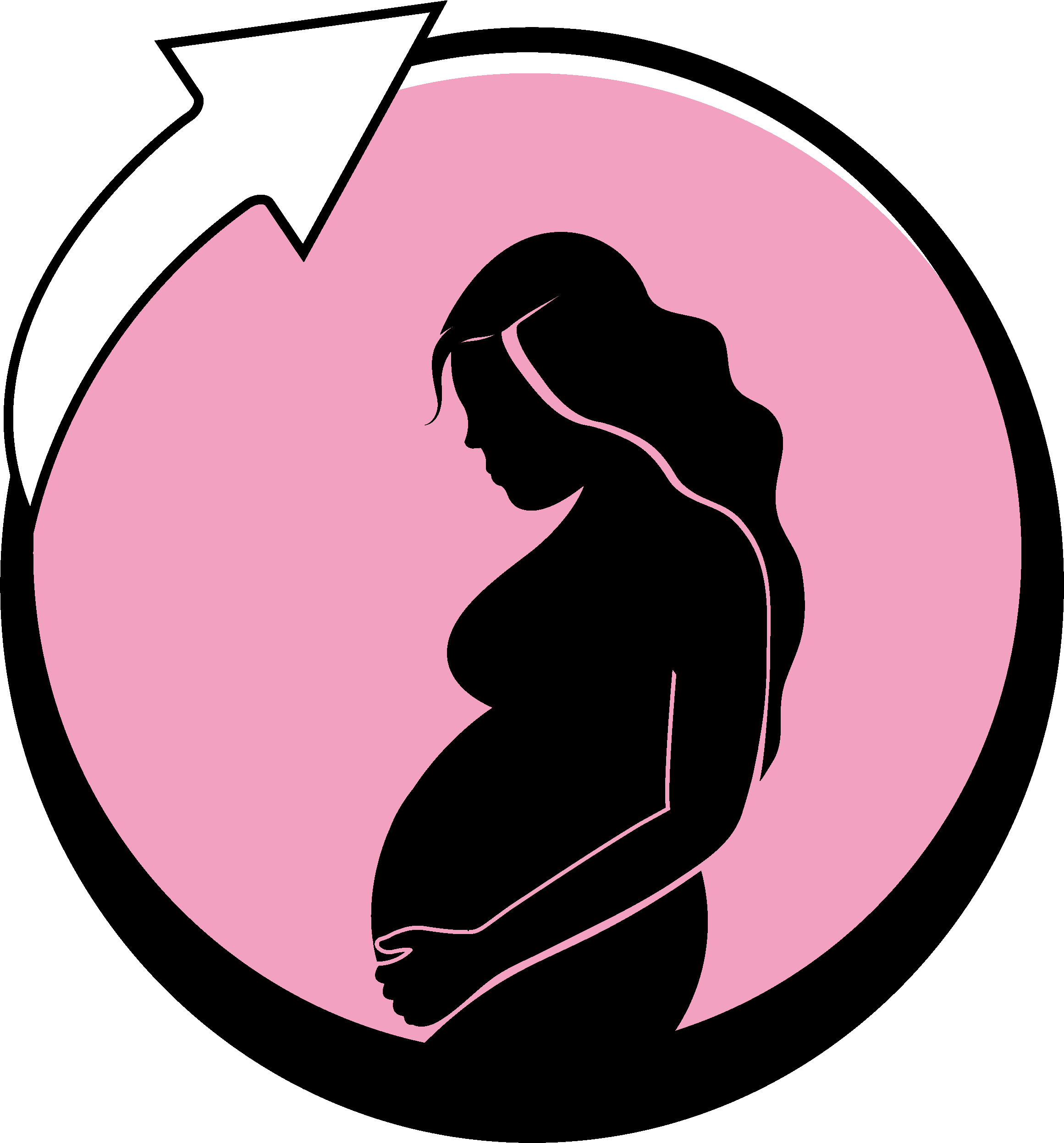 Application Logo